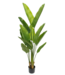 Strelitzia Kunstplant 160cm