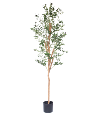 PrettyPlants Kunst Olijfboom 170cm