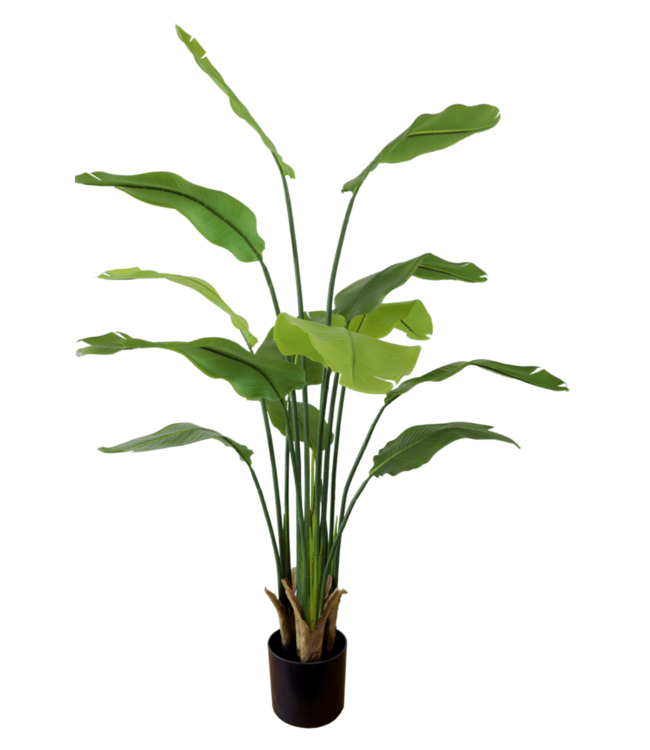 Strelitzia Kunstplant 160cm