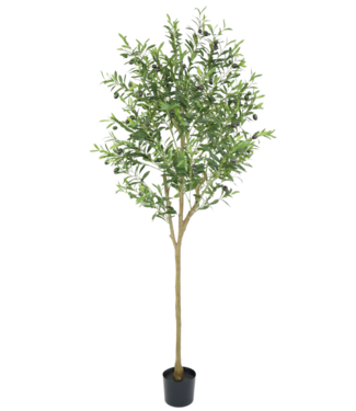 PrettyPlants Kunst Olijfboom 180cm