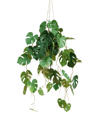 Monstera Kunst Hangplant 95cm