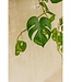 Monstera Kunst Hangplant 95cm
