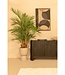 Kunstpalm 180cm