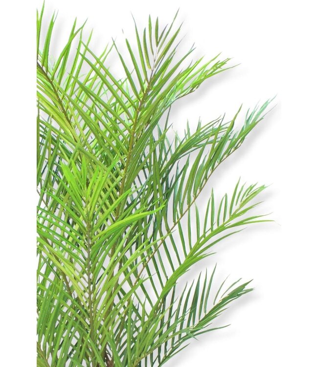 Kunstpalm 180cm