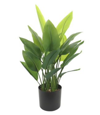 PrettyPlants Strelitzia Kunstplant 70cm