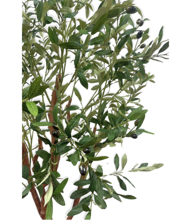 Kunst Olijfboom 150cm (lichte stam)
