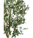 Kunst Olijfboom 150cm (lichte stam)