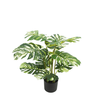 PrettyPlants Monstera Kunstplant 75cm