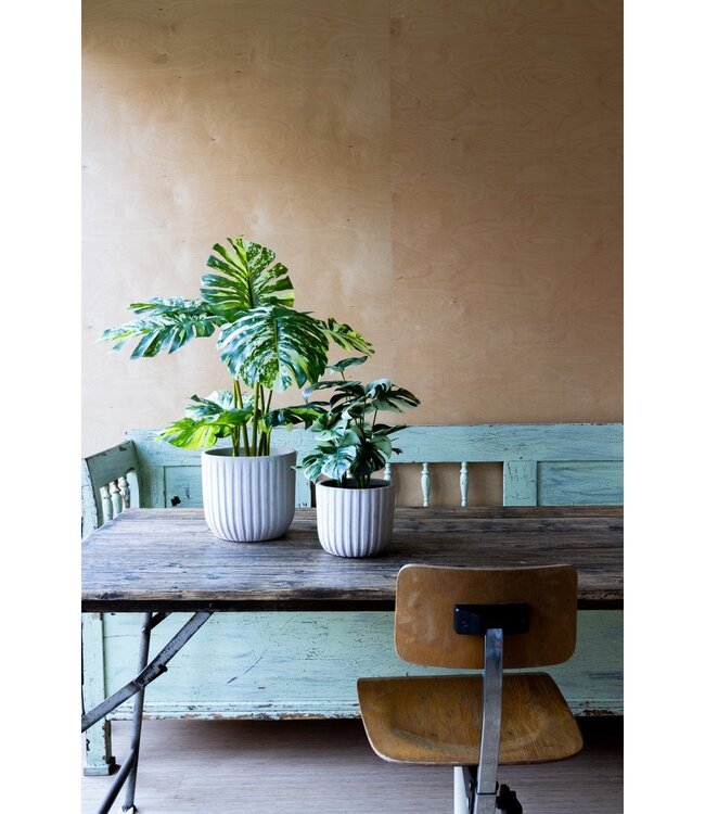 Monstera Kunstplant 75cm