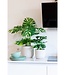 Monstera Kunstplant 75cm
