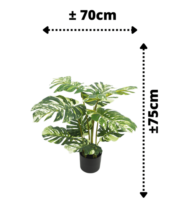 Monstera Kunstplant 75cm