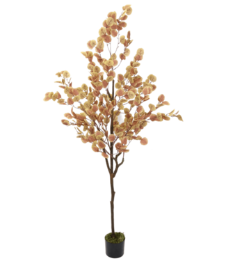 PrettyPlants Eucalyptus Kunstboom Roest 180cm