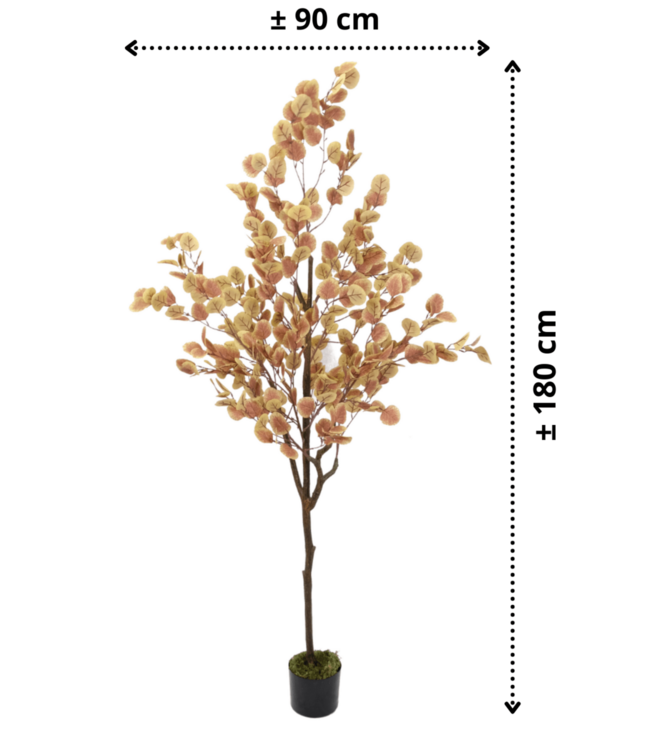 Eucalyptus Kunstboom Roest 180cm