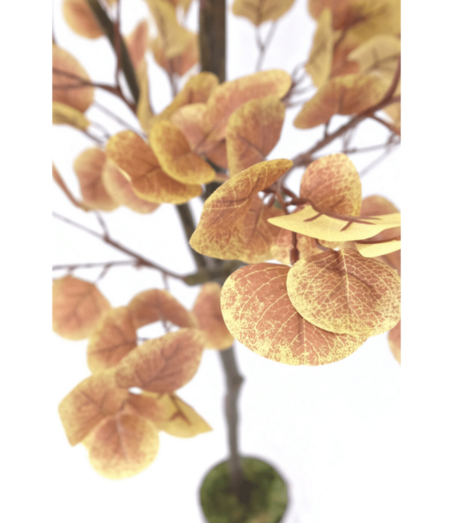 Eucalyptus Kunstboom Roest 180cm