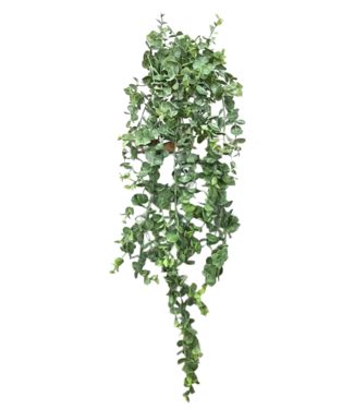 PrettyPlants Eucalyptus Kunst Hangplant 60cm