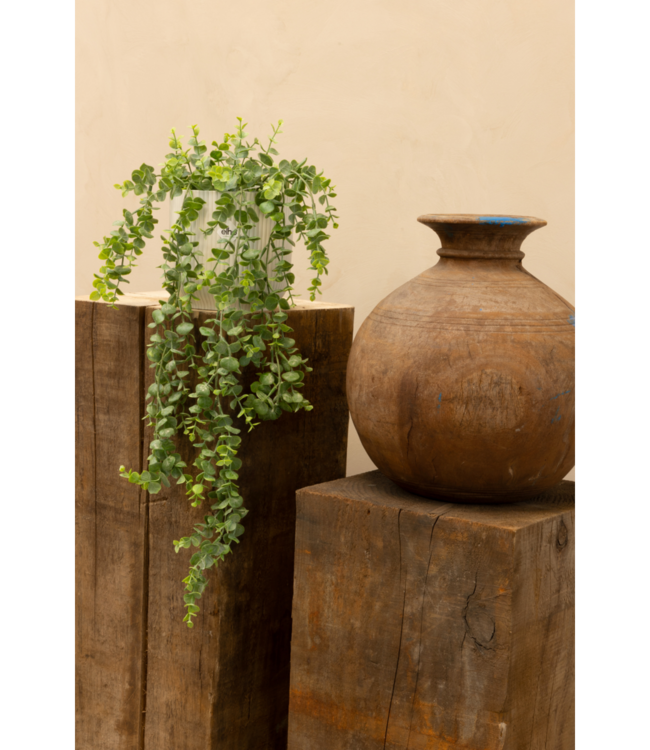 Eucalyptus Kunst Hangplant 60cm