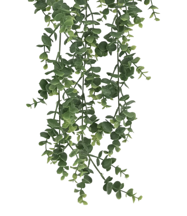 Eucalyptus Kunst Hangplant 60cm