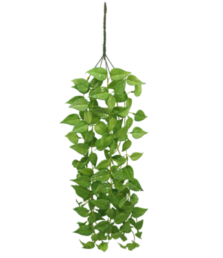 PrettyPlants Anthurium Kunst Hangplant 65cm