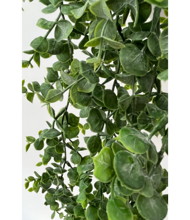 Eucalyptus Kunst Hangplant 60cm