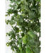 Eucalyptus Kunst Hangplant 60cm