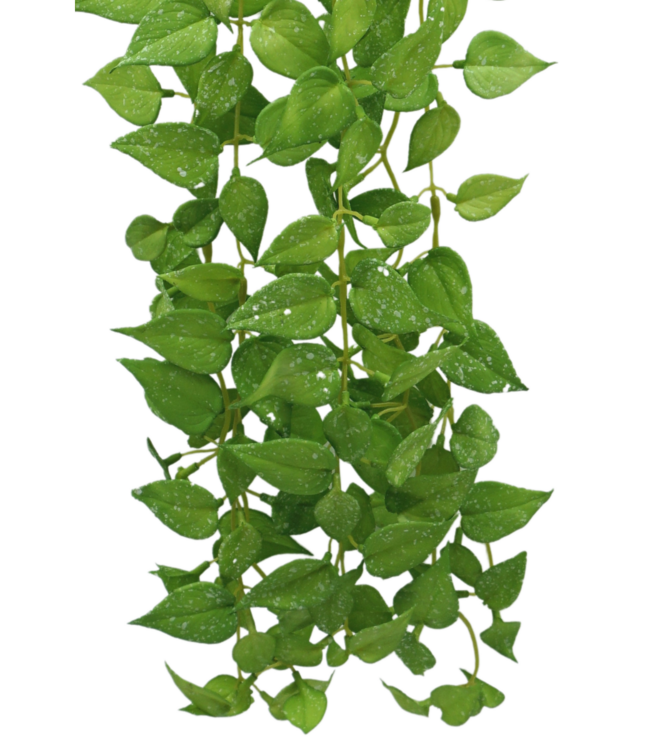 Anthurium Kunst Hangplant 65cm