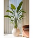 Strelitzia Kunstplant 180cm