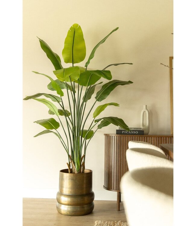 Strelitzia Kunstplant 180cm