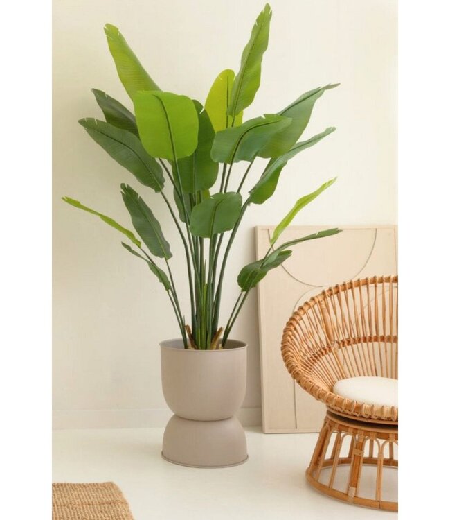 Strelitzia Kunstplant 180cm
