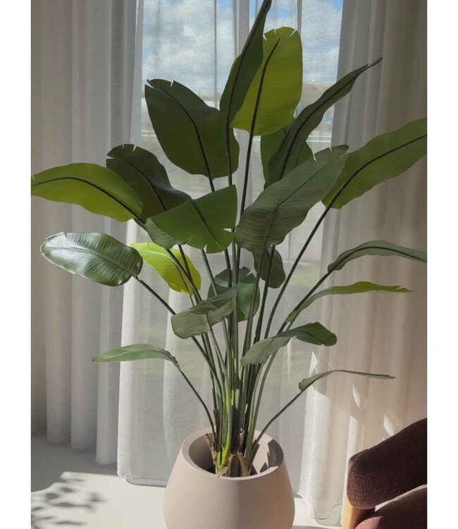 Strelitzia Kunstplant 180cm