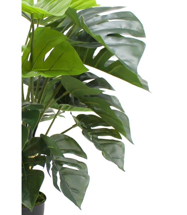 Monstera Kunstplant 65cm