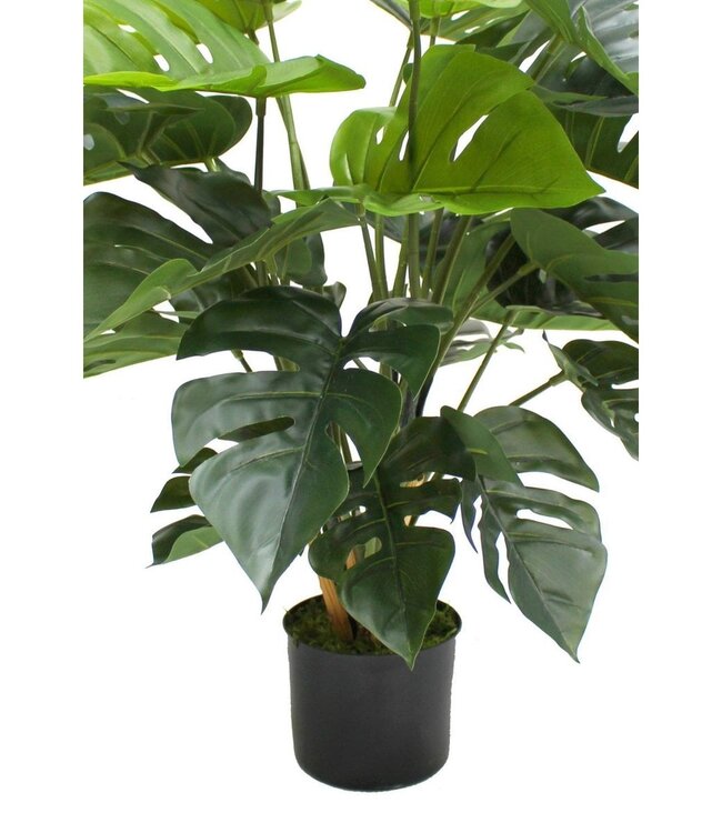 Monstera Kunstplant 65cm
