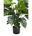 Monstera Kunstplant 65cm