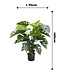 Monstera Kunstplant 65cm