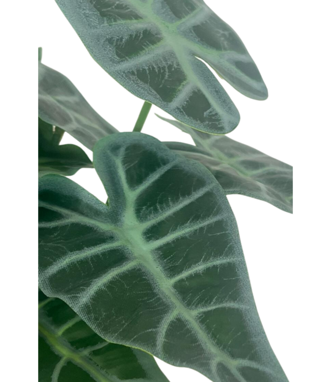 Caladium Kunstplant 20cm