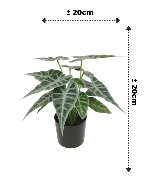 Caladium Kunstplant 20cm