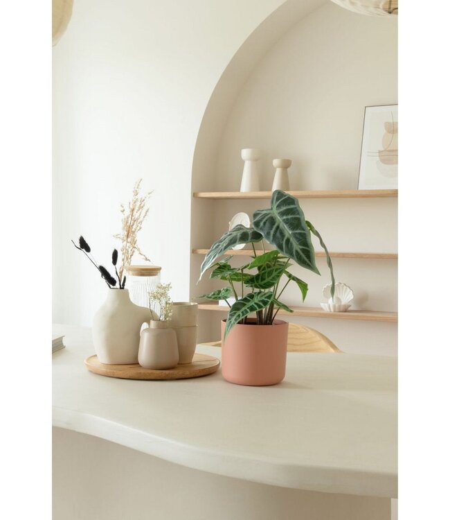 Caladium Kunstplant 38cm