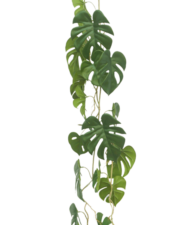 3st. Monstera Kunstslinger 120cm (Guirlande)