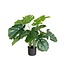 Monstera Kunstplant 65cm