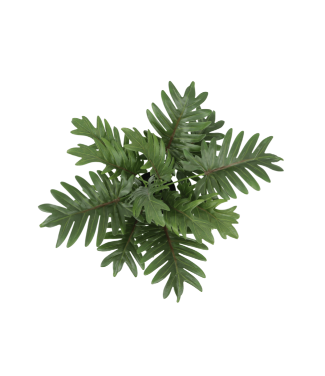 Philodendron Kunstplant 40cm