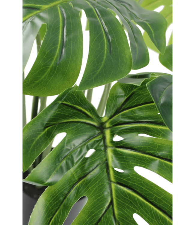Monstera Kunstplant 65cm