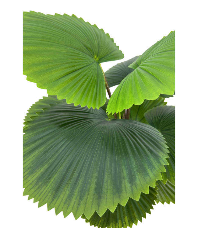 Kunst Waaierpalm 90cm