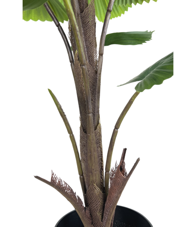 Kunst Waaierpalm 90cm