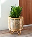 Rotan plantenstandaard plantenbak bloempothouder MALANG beige