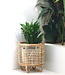Rotan plantenstandaard plantenbak bloempothouder MALANG beige
