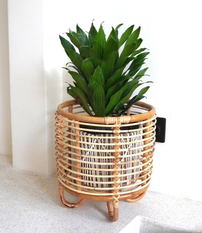Rotan plantenstandaard plantenbak bloempothouder MALANG beige
