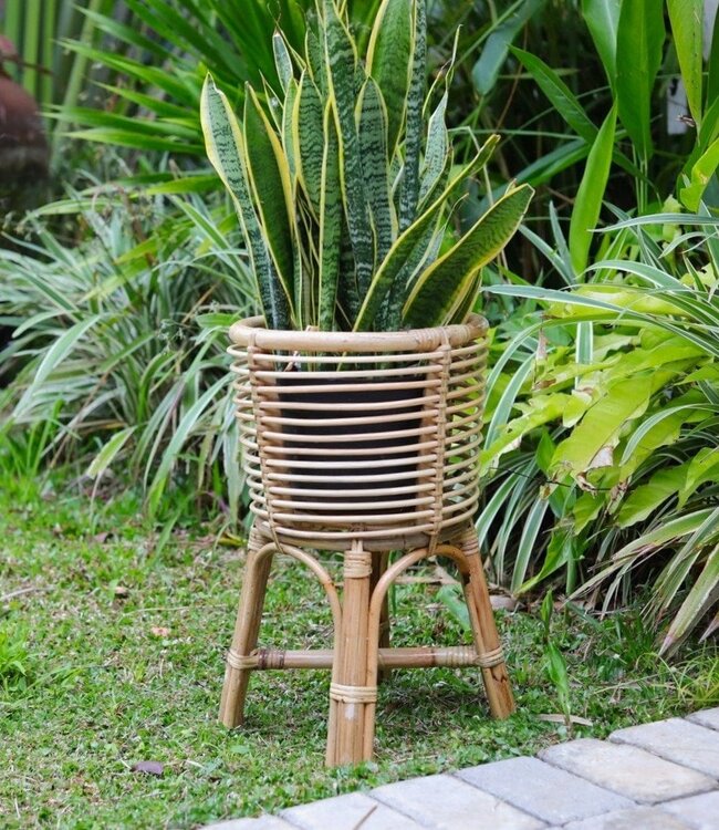 Rotan Plantenstandaard Rond – Boho Plantenbak – Rotan Plantenmand – Natuurlijke Bloemenstandaard voor Potten tot Ø20 cm AKARA