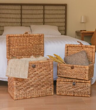 Kofferbakmand | Wasmand met Deksel KELANA van Waterhyacint (2 maten)