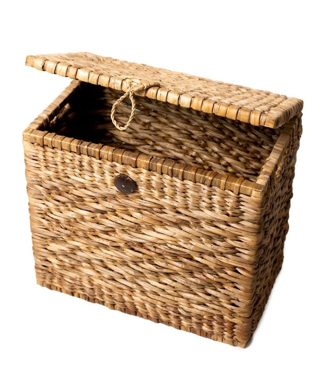 Kofferbakmand | Wasmand met Deksel KELANA van Waterhyacint (2 maten)