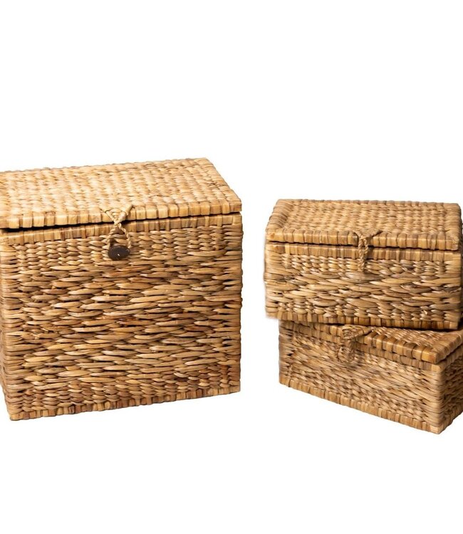 Kofferbakmand | Wasmand met Deksel KELANA van Waterhyacint (2 maten)