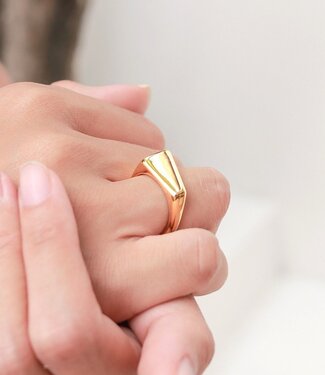 Minimalistische ring 18k verguld - gouden ring 925 zilver goud vermeil - driehoekige statement ring - JIMBARAN